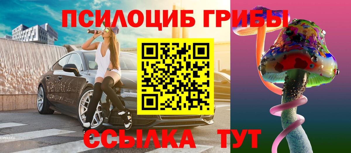 Псилоцибиновые грибы Cubensis Лениногорск